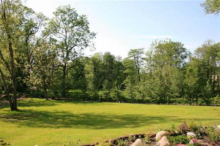 08 Blick in den Garten