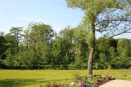 09 Blick in den Garten